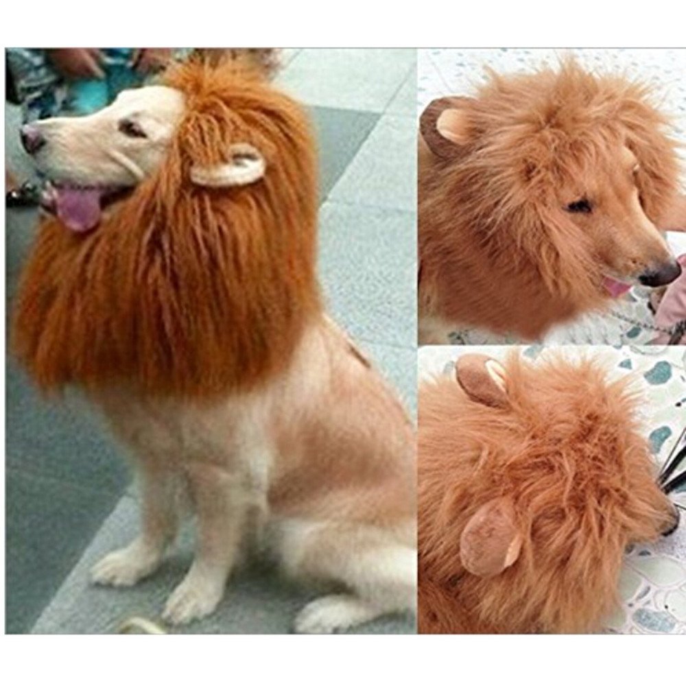 lion-mane-costume